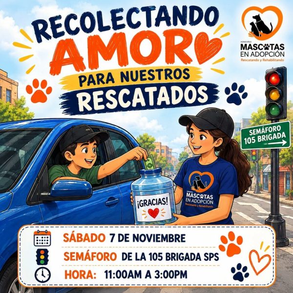 Recolecta